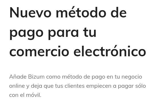bizum pasarela de pagos online